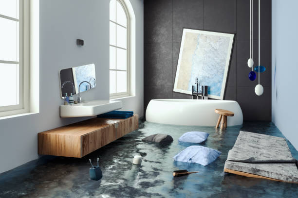 Best Water damage restoration specialists  in Cheval, FL