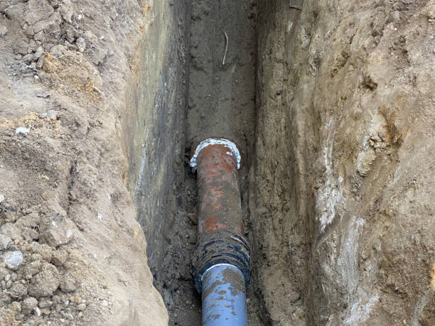 Best Sewage cleanup and water damage restoration  in Cheval, FL