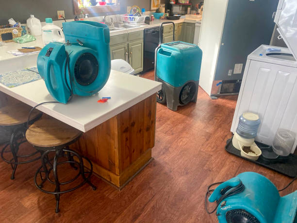 Best Residential water damage restoration  in Cheval, FL