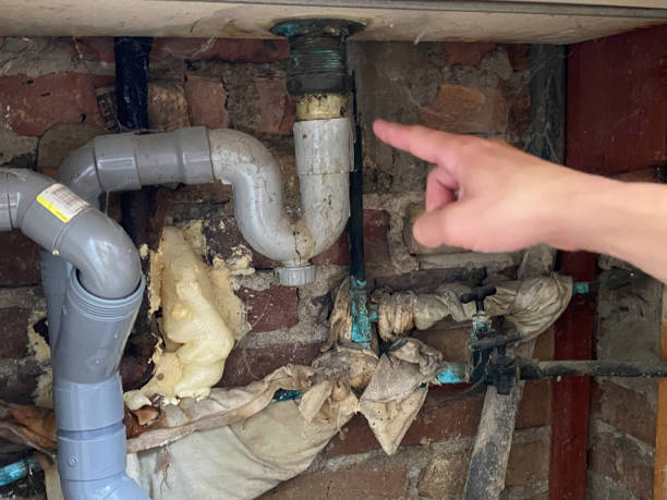 Sewage cleanup and water damage restoration in Cheval, FL
