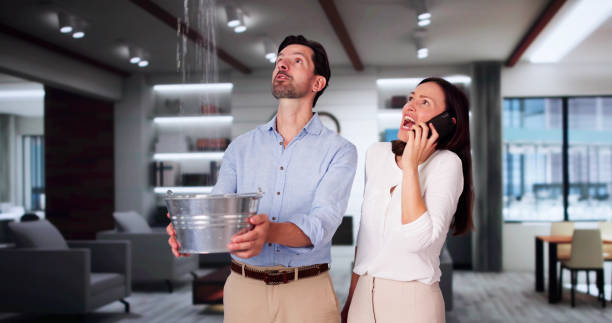 Water damage restoration process in Cheval, FL