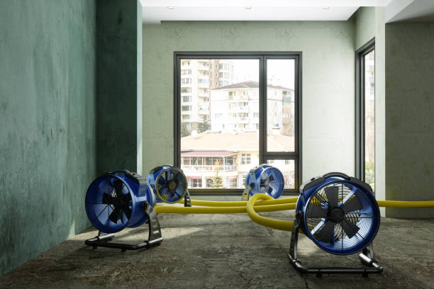 Best 24-hour water damage restoration  in Cheval, FL